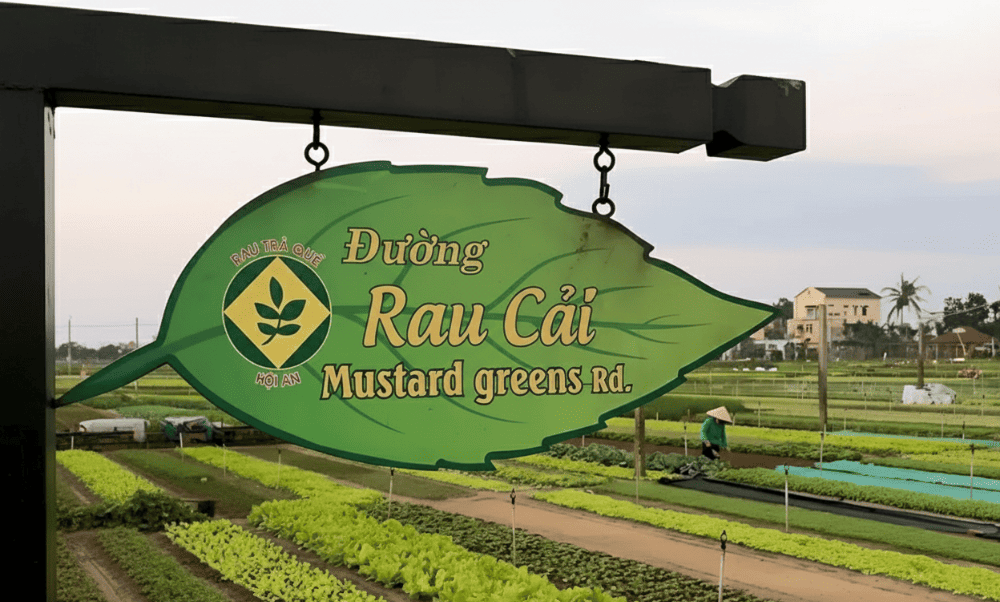 Visiting Tra Que Vegetable Village is remarkably affordable at only 35,000 VND per person per day